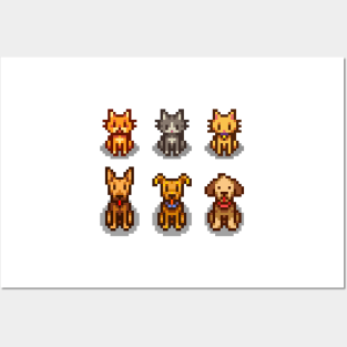 Stardew Valley Pets Posters and Art